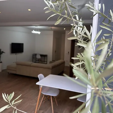 Scandinavian Al Тирана